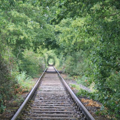 Di2_P1_ Luke Filip.jpg