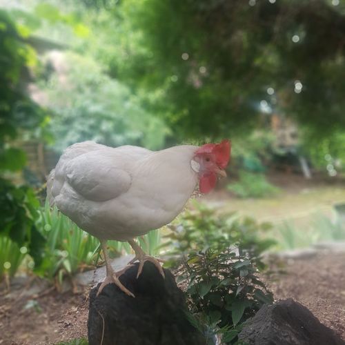 Do2_P1_ Lina Marie +Tabea (3).jpg