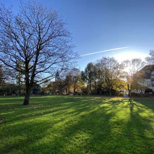 Gruenanlage Am Weiher - Foto Stadt Hattersheim (mmh).JPG
