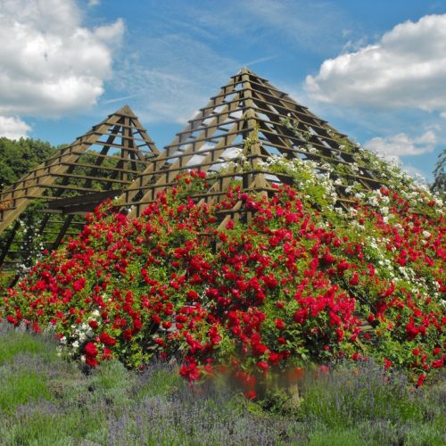 Pyramide Rosarium Okriftel.JPG