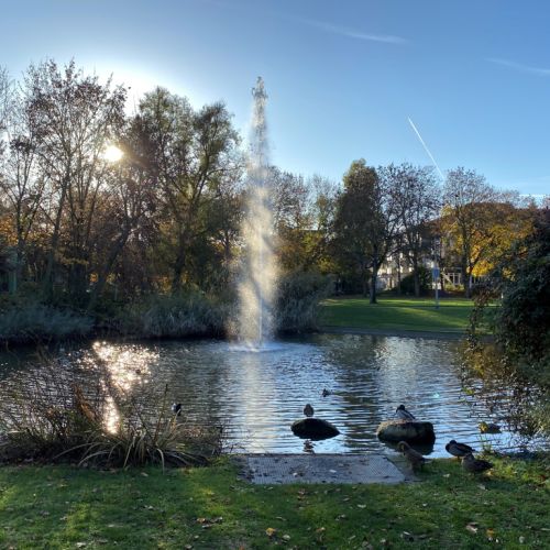 Weiheranlage - Foto Stadt Hattersheim (mmh).JPG