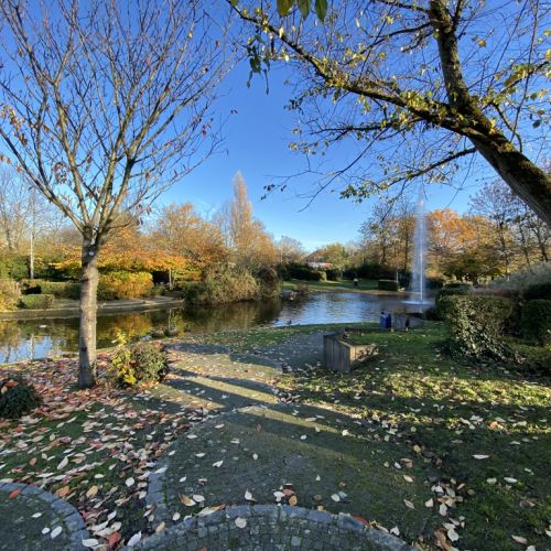 Weiher Hattersheim - Foto Stadt Hattersheim (mmh).JPG