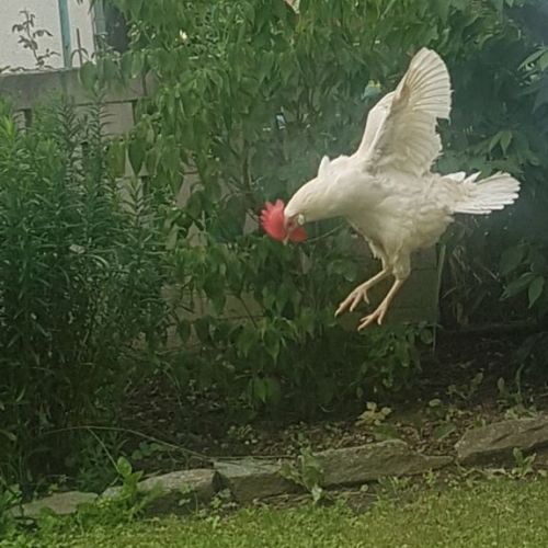 Do2_P1_ Lina Marie +Tabea (1).jpg