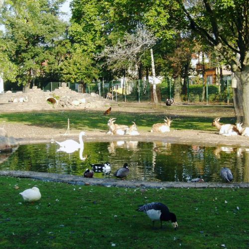 Tierpark Hattersheim.JPG