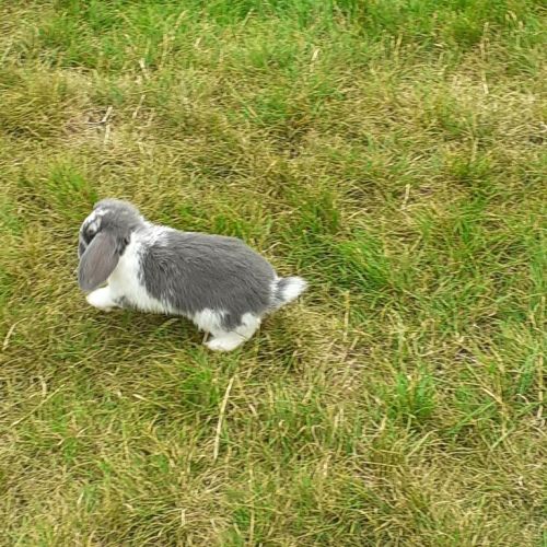 Do2_P3_Mia+Caroline (2).jpg