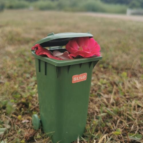 Mi1 Laura Mueller (3).jpg