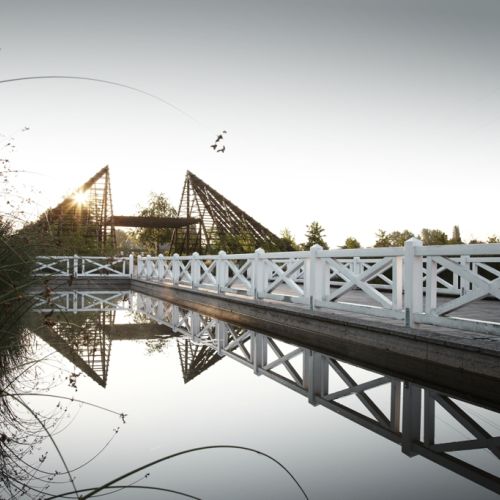 Rosarium Morgenlicht.jpg