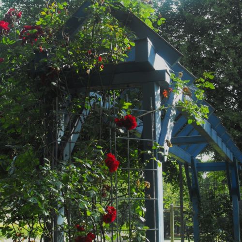 Mainufer Okriftel.JPG