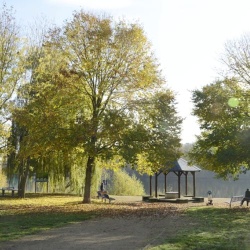 Mainuferanlage Eddersheim - Foto Hans Nietner.jpg