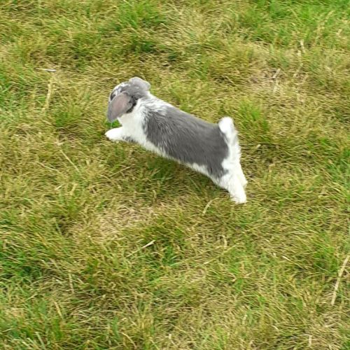 Do2_P3_Mia+Caroline (3).jpg